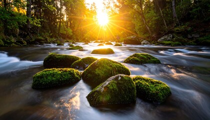 Sunlit river flows smoothly over moss-covered rocks