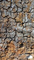 stone wall texture