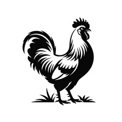 Elegant black and white rooster illustration standing proudly