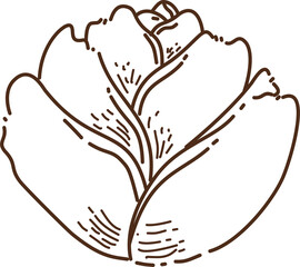 Elegant Outline Rose Illustration