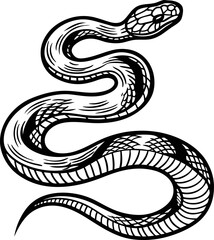 Fototapeta premium Coiled snake illustration with intricate black lines, reptile design, wild animal tattoo, serpentine art, nature motif