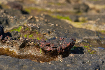 Volcanic rock textures at seaside