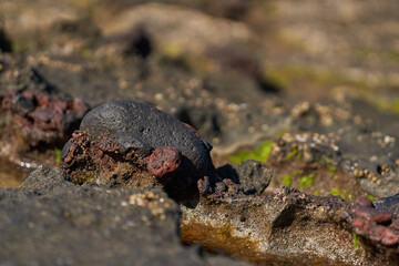 Volcanic rock textures at seaside