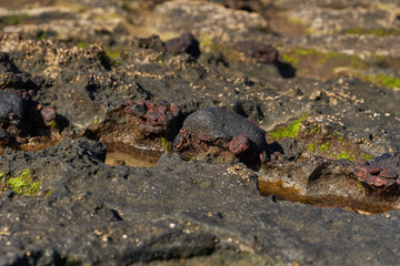 Volcanic rock textures at seaside