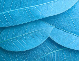 Close-up of overlapping, light-blue leaves showing detailed vein patterns