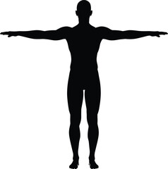 Naklejka premium T-pose human silhouette in frontal view, symmetrical stance used in character rigging, anatomy reference, flat CAD-style vector illustration