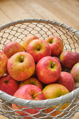 A basket of freshly harvested red yellow organic apples on a wooden floor