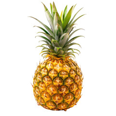 Single pineapple, vibrant yellow-gold skin, bright green crown (3)