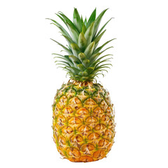 Single pineapple, vibrant yellow-gold rind, bright green crown (3)
