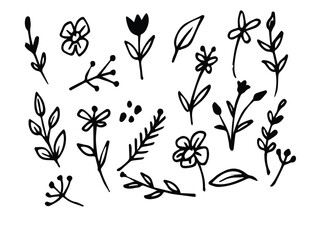 Flower abstract hand drawn brush ink stroke. Sketch hand drawn silhouette floral plant, nature graphic leaf, scribble grunge brush texture. Vector simple flower, leaf ink stroke. 