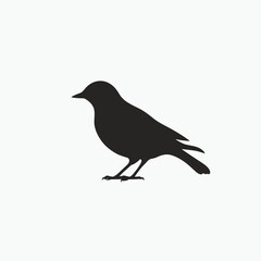 Obraz premium bird on a branch