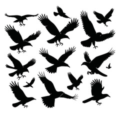 Fototapeta premium set of silhouettes of birds