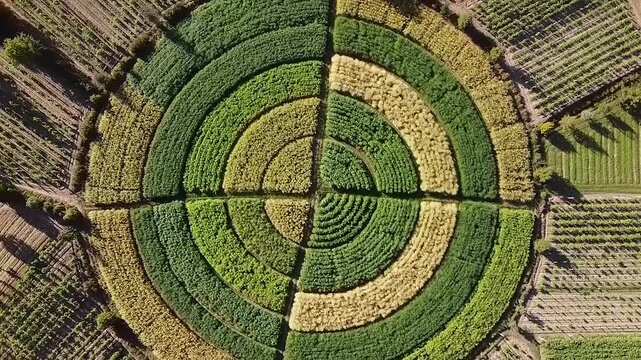 Circular agricultural patterns