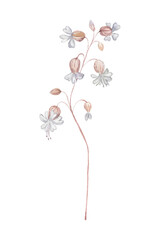 White Tiny Blossoms on Black Background