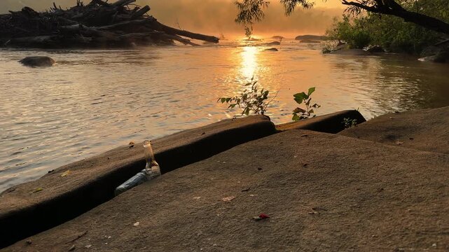 Wide shot of Pony Pasture, Richmond Virginia during a misty summer sunrise, litter nestled in the rocks
