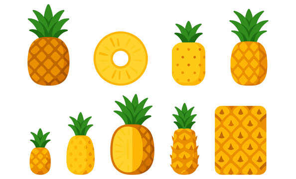 Flat style pineapple collection with whole, sliced, and pattern elements