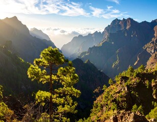 Mountain valley at sunset. Lush landscape with a lone pine tree