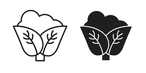 Cauliflower icon set, line and black glyph style for food app website.