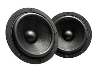 Two black speaker cones, close-up.  Dark, circular speaker drivers with textured surfaces and metal mounting rings.  High-fidelity audio components