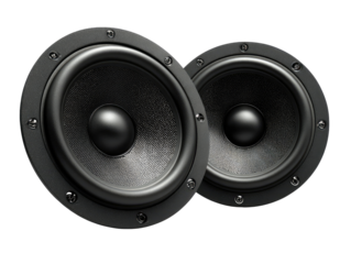 Two black speaker cones, close-up.  Dark, circular speaker drivers with textured surfaces and metal mounting rings.  High-fidelity audio components