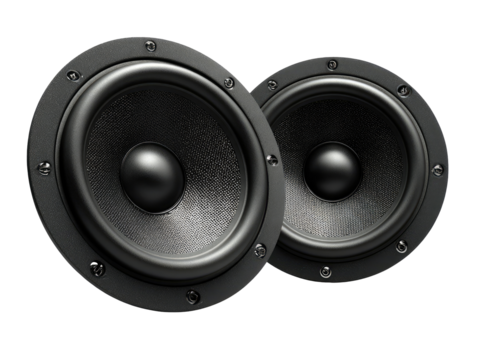 Two black speaker cones, close-up.  Dark, circular speaker drivers with textured surfaces and metal mounting rings.  High-fidelity audio components