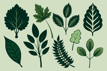 Fototapeta premium Diverse forest flora is depicted with various shades of green against light background