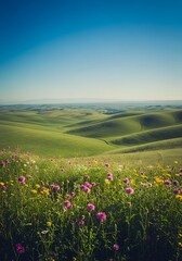 Fototapeta premium Rolling hills and wildflowers under clear blue sky