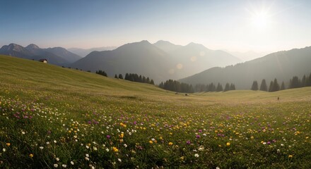 Fototapeta premium A scenic landscape view of a grassy field with wildflowers, rolling hills, and distant mountains under a bright, sunny sky.