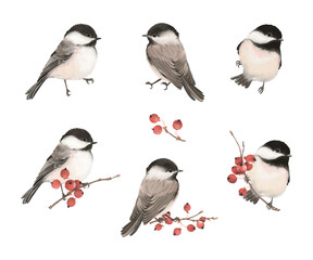 Watercolor set with cute birds chickadee on branches with red berries hawthorn. Isolated illustration for your autumn or winter design, hand drawn collection.