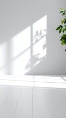 Fototapeta premium White room with shadows