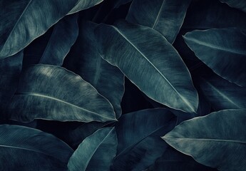 Obraz premium A dark navy background with a pattern of large, shadowy leaves