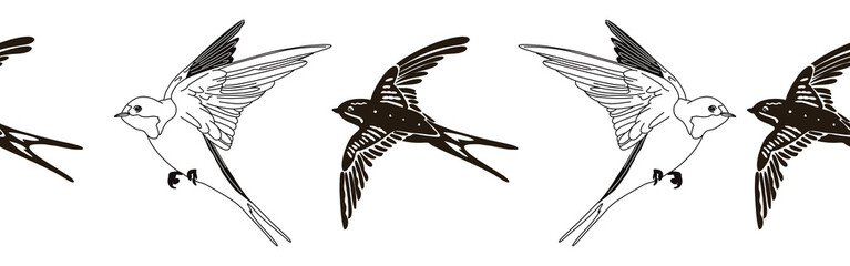 Border icon border. Bird feather silhouette symbol. Bird border isolated on white background