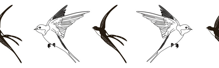 Border icon border. Bird feather silhouette symbol. Bird border isolated on white background