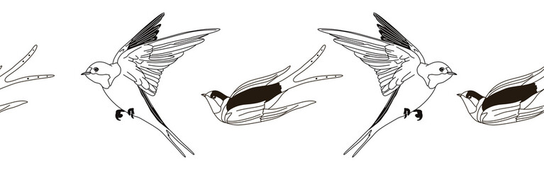 Border icon border. Bird feather silhouette symbol. Bird border isolated on white background