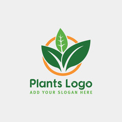 plant logo design vector