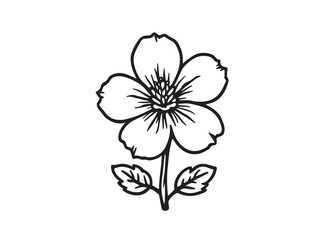 Evening Primrose Simple Outline