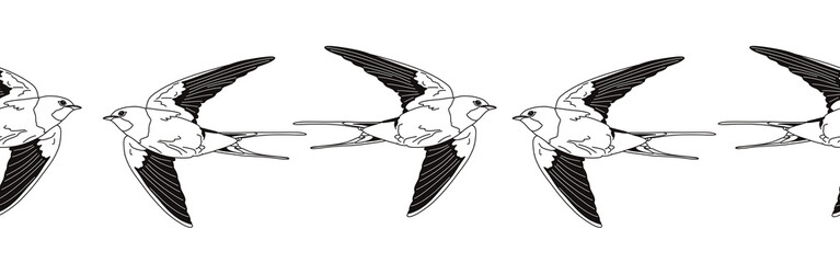 Border icon border. Bird feather silhouette symbol. Bird border isolated on white background