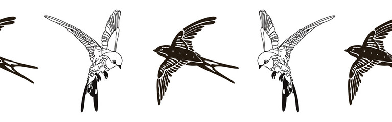 Border icon border. Bird feather silhouette symbol. Bird border isolated on white background