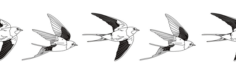 Border icon border. Bird feather silhouette symbol. Bird border isolated on white background