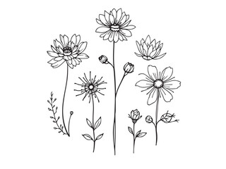 Everlasting Flower Line Art Design