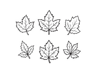 flowering maple simple line art clear vision