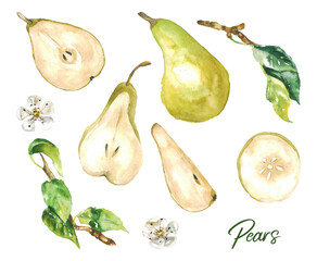 Collection of Pear Fruit, Slices and Branches with Leaves Clipart PNG