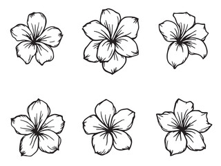 frangipani clear vision simple line art