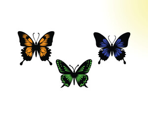 butterfly on a white background