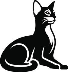 black cat on white background