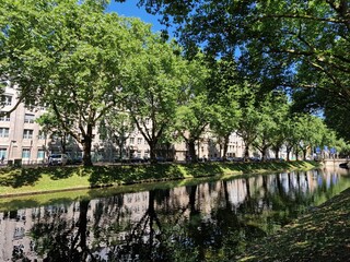 City river in the summer 