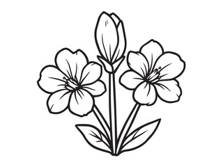freesia clear vision simple line art