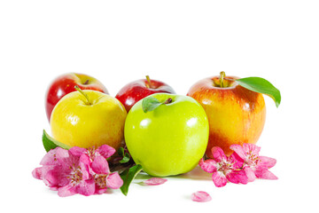 Shiny juicy multi-colored apples with apple blossoms and leaves isolated on white.