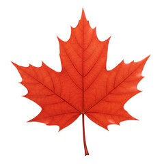 Obraz premium Purple lotus flower floating gracefully on dark water surface