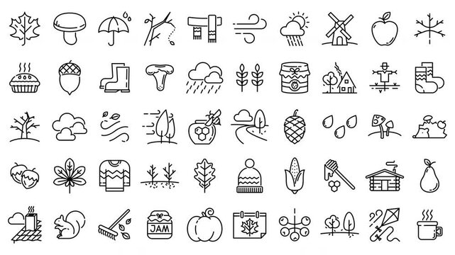 Autumn line icons appear with self-drawing animation and fade away. Perfect for seasonal motion design. Transparent alpha background.